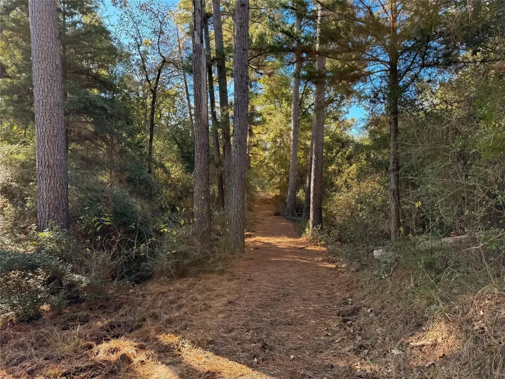 Cr 325 Jewett, TX 75846