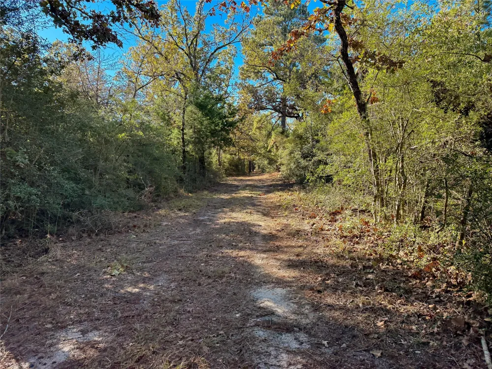 Cr 325 Jewett, TX 75846