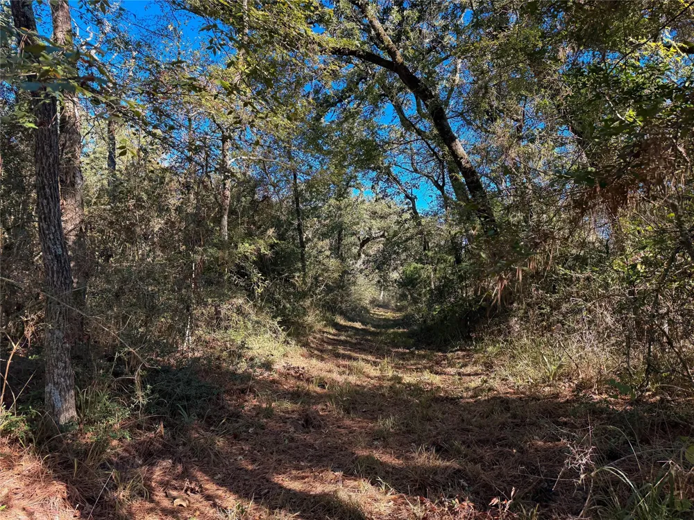 Cr 325 Jewett, TX 75846