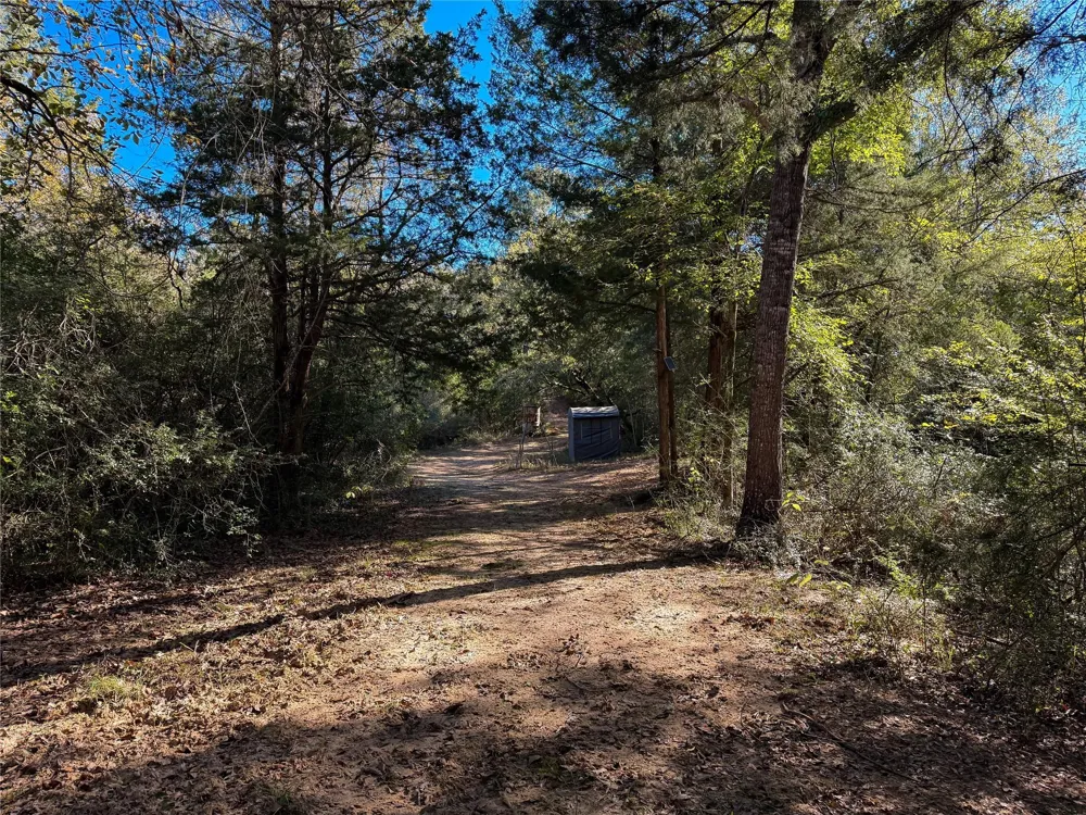 Cr 325 Jewett, TX 75846