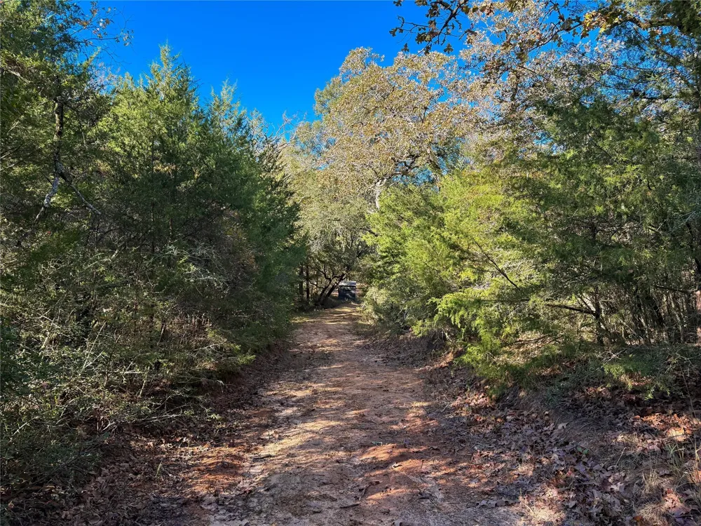 Cr 325 Jewett, TX 75846