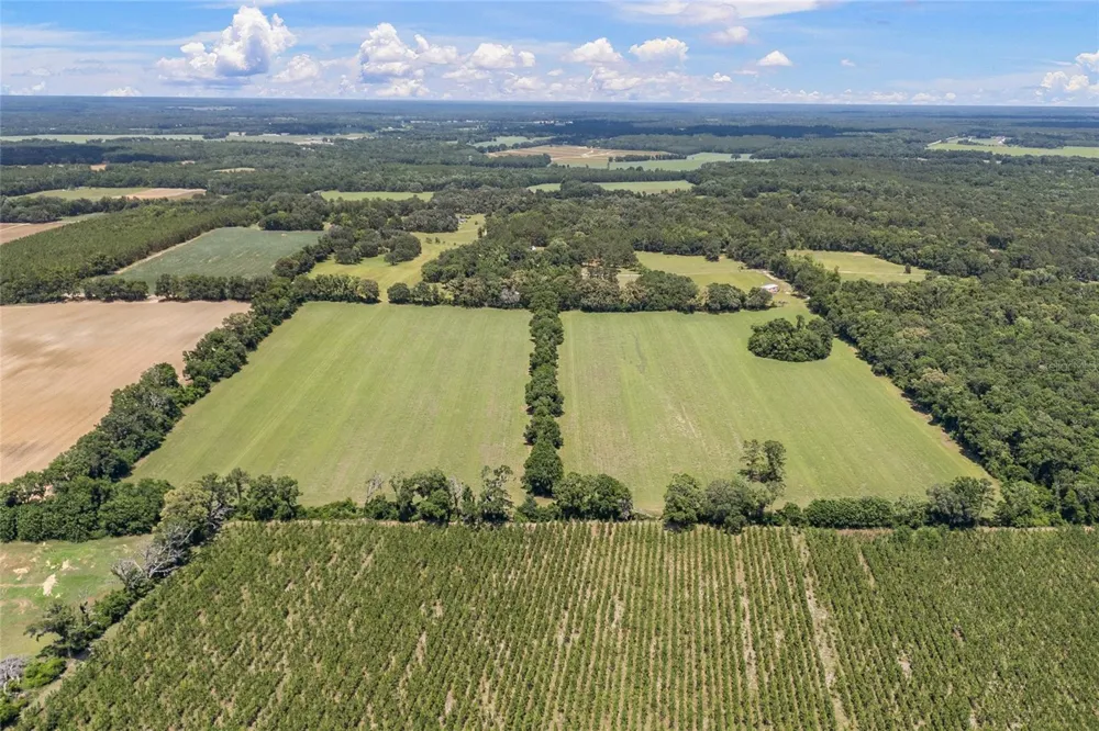 227TH DRIVE High Springs, FL 32643