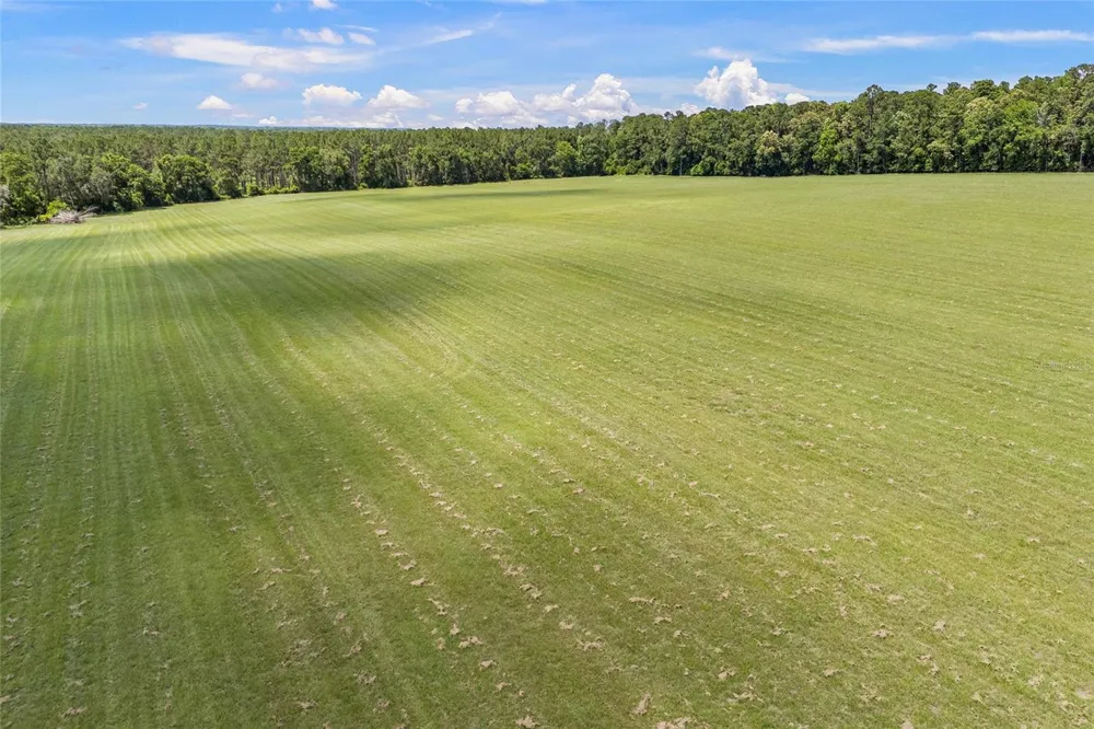227TH DRIVE High Springs, FL 32643