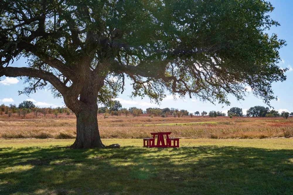204 Via Daniela Florence, TX 76527