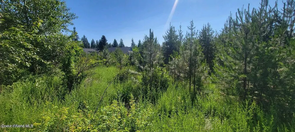 Lt 3 W Fedrick Loop Spirit Lake, ID 83869