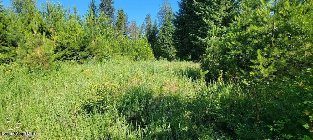 Lt 3 W Fedrick Loop Spirit Lake, ID 83869