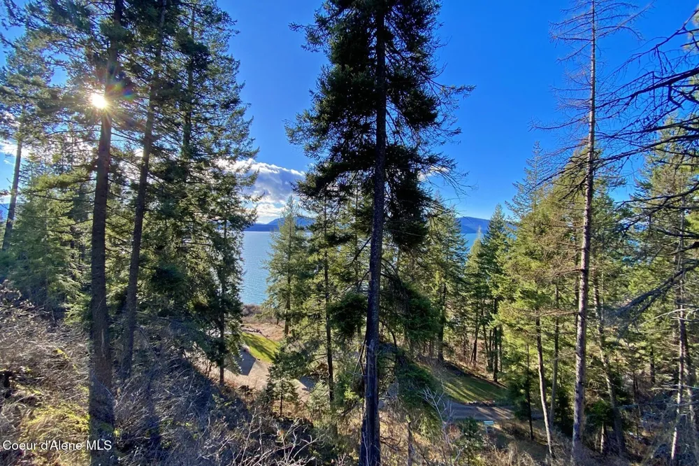 150 Castle Crest Hope, ID 83836