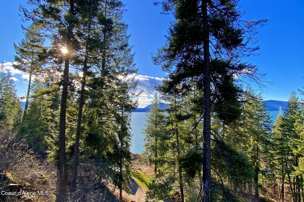150 Castle Crest Hope, ID 83836