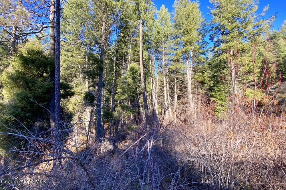 150 Castle Crest Hope, ID 83836