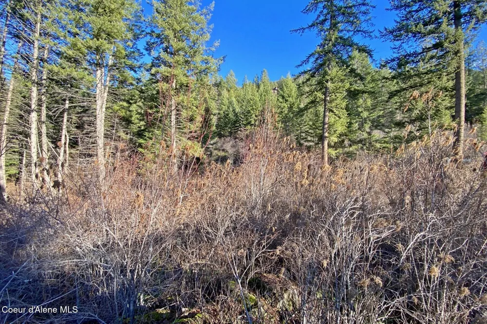 150 Castle Crest Hope, ID 83836