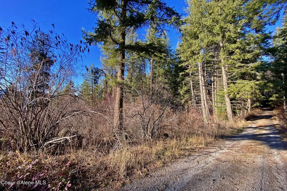 150 Castle Crest Hope, ID 83836