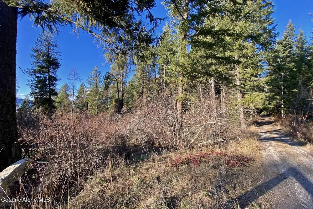 150 Castle Crest Hope, ID 83836