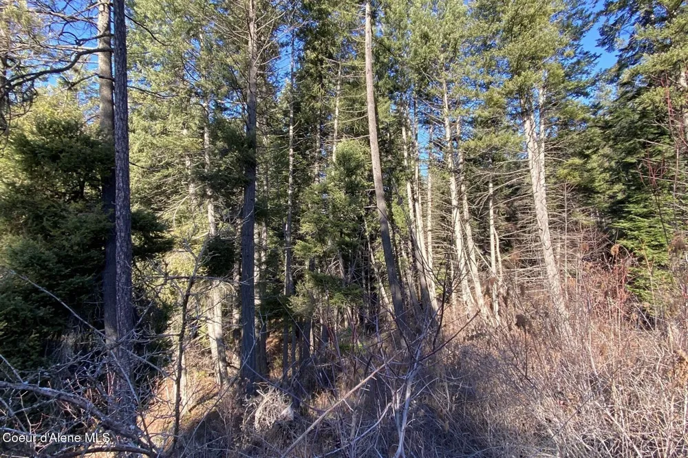 150 Castle Crest Hope, ID 83836