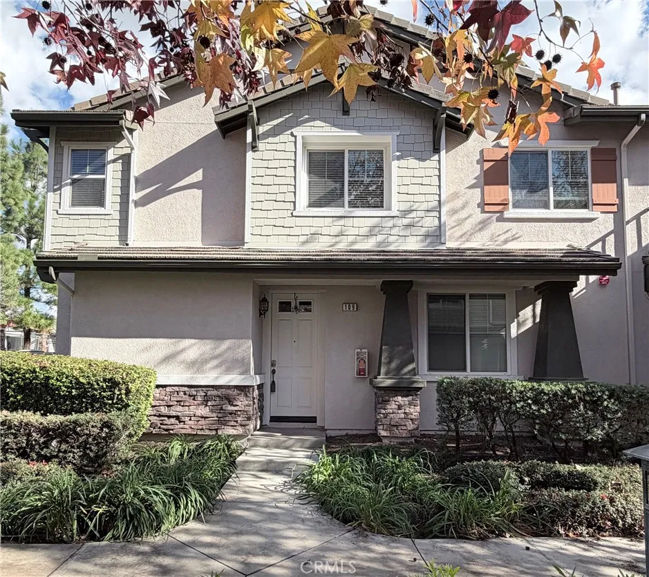 9494 Jack Rabbit #109