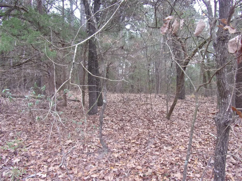 Briar Valley Murchison, TX 75778