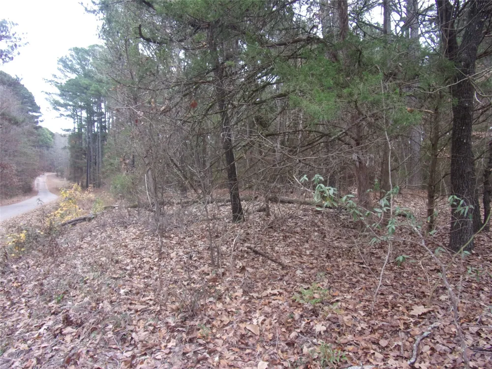 Briar Valley Murchison, TX 75778