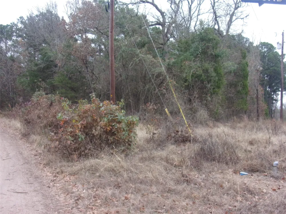 Briar Valley Murchison, TX 75778