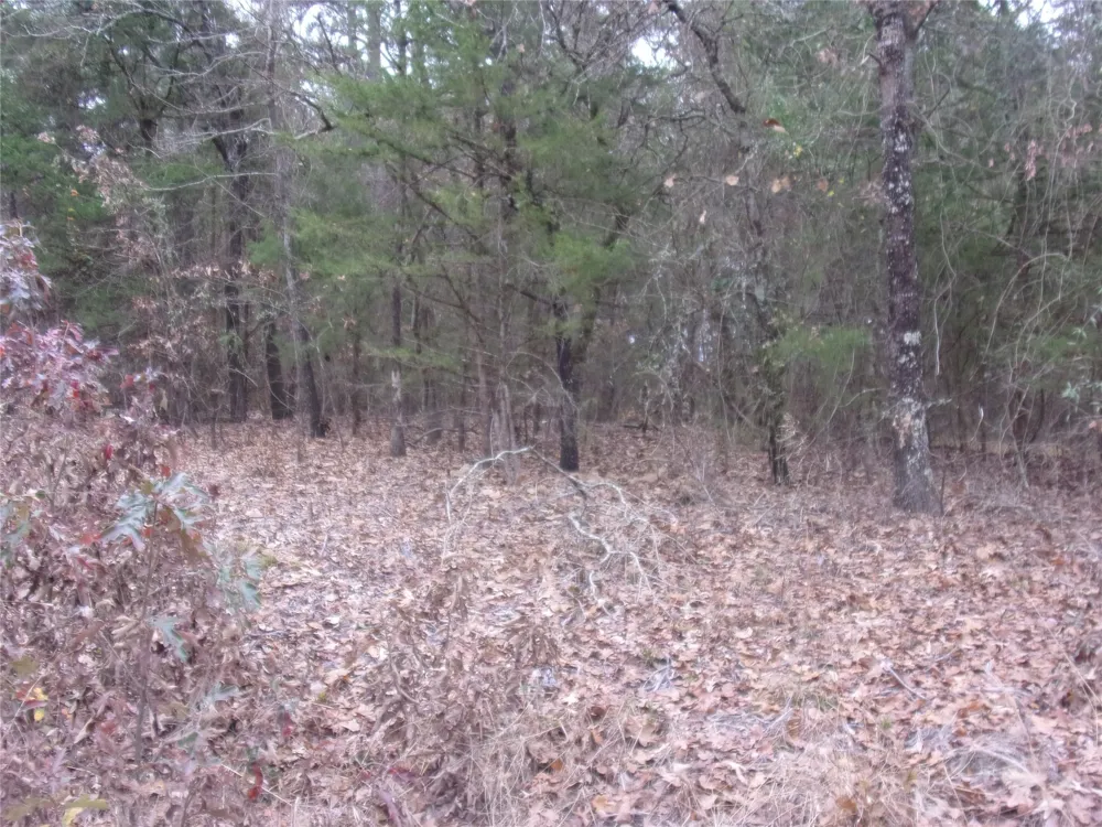 Briar Valley Murchison, TX 75778