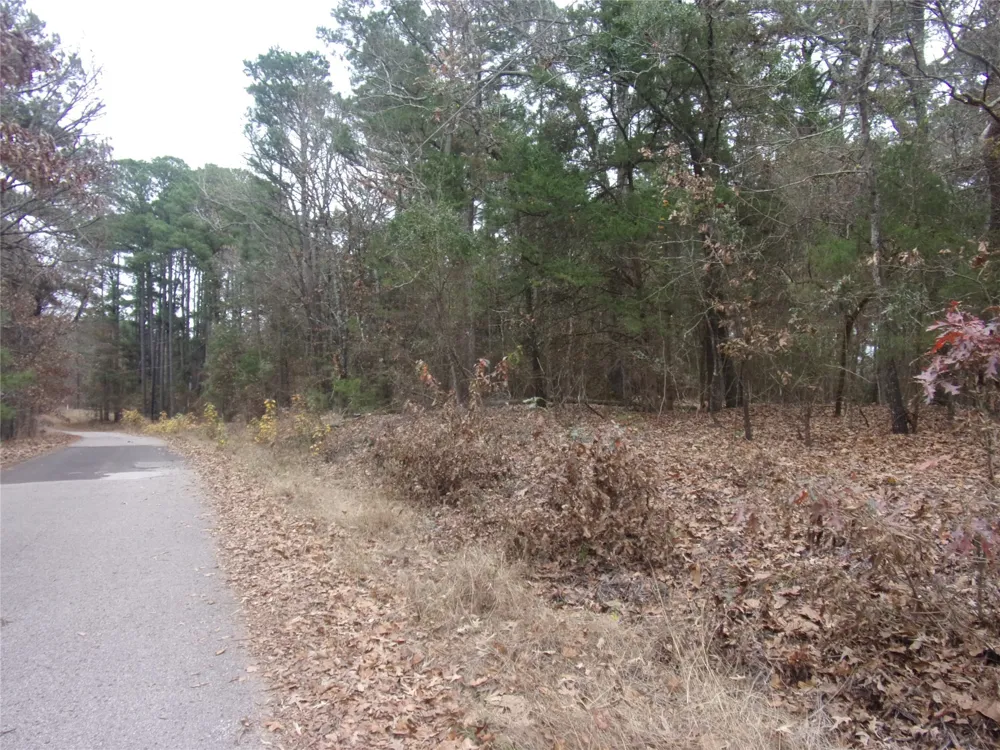 Briar Valley Murchison, TX 75778