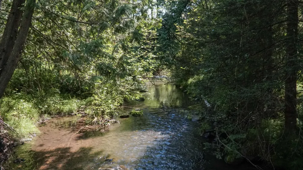 74035 County Highway A Iron River, WI 54847
