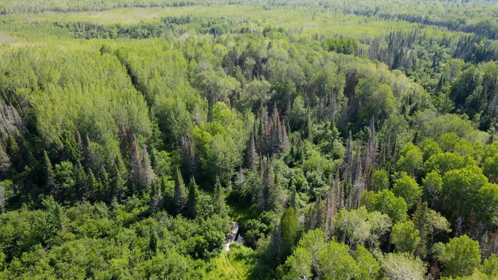 74035 County Highway A Iron River, WI 54847