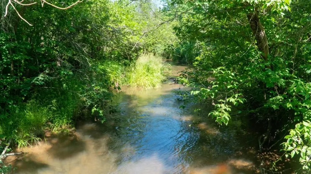 74035 County Highway A Iron River, WI 54847