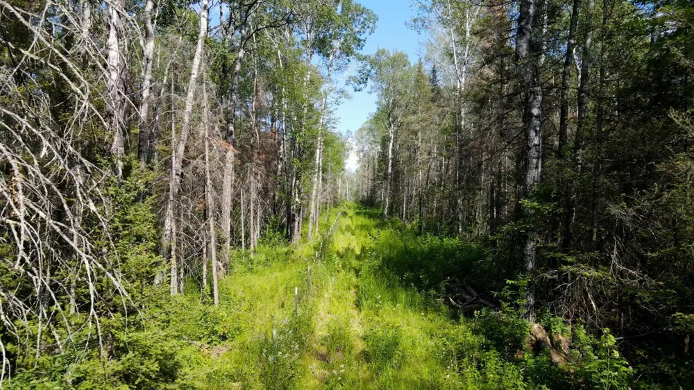 74035 County Highway A Iron River, WI 54847