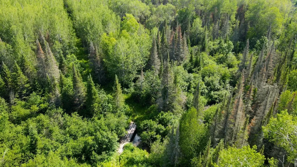 74035 County Highway A Iron River, WI 54847
