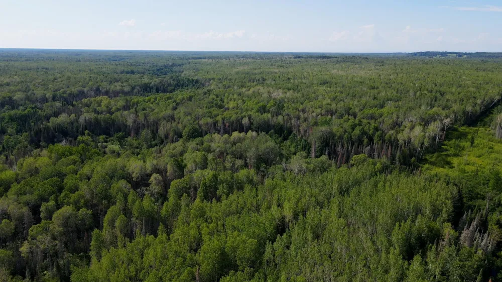 74035 County Highway A Iron River, WI 54847