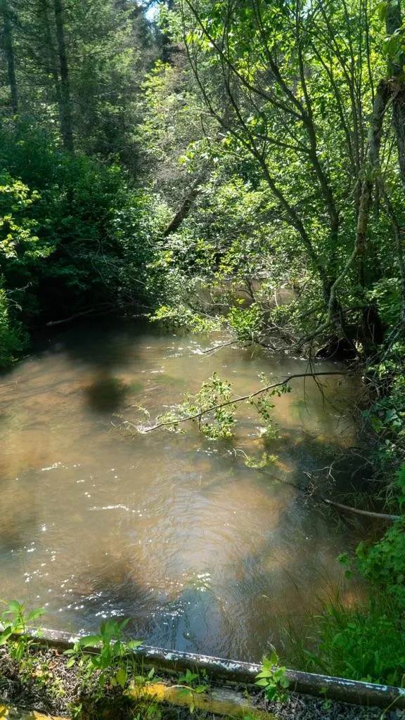74035 County Highway A Iron River, WI 54847