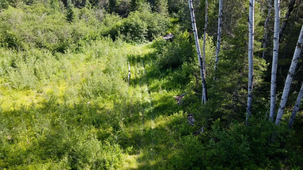 74035 County Highway A Iron River, WI 54847