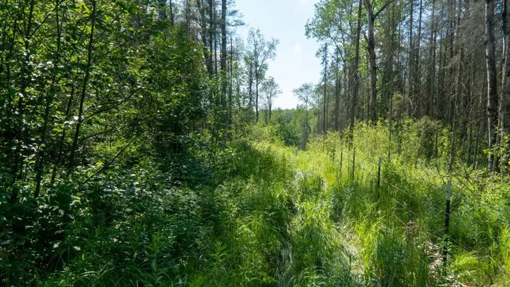 74035 County Highway A Iron River, WI 54847