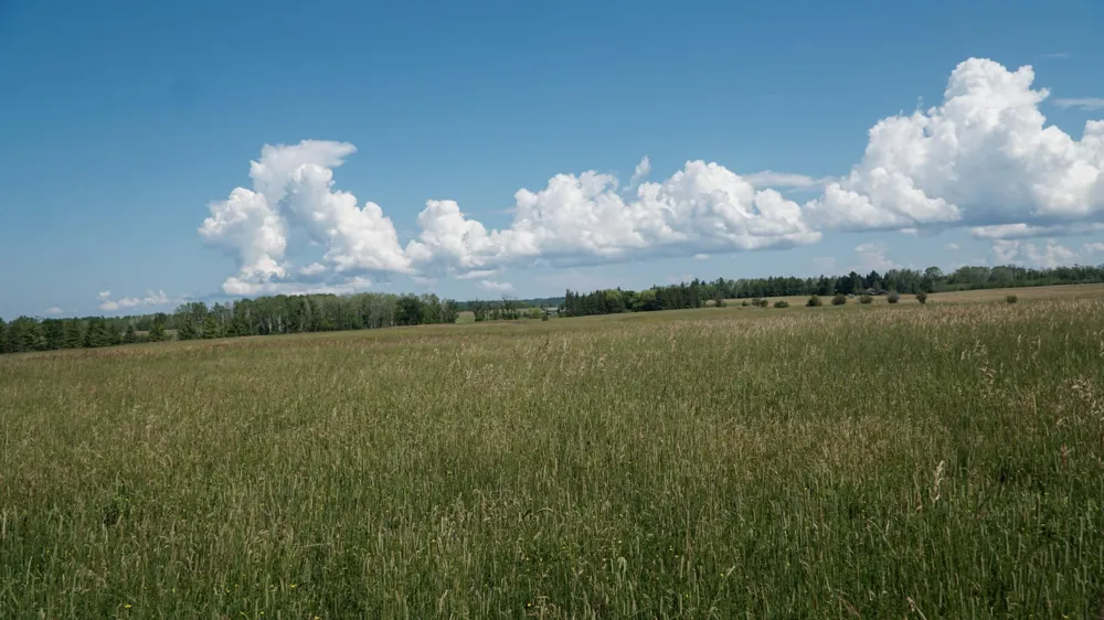 74035 County Highway A Iron River, WI 54847
