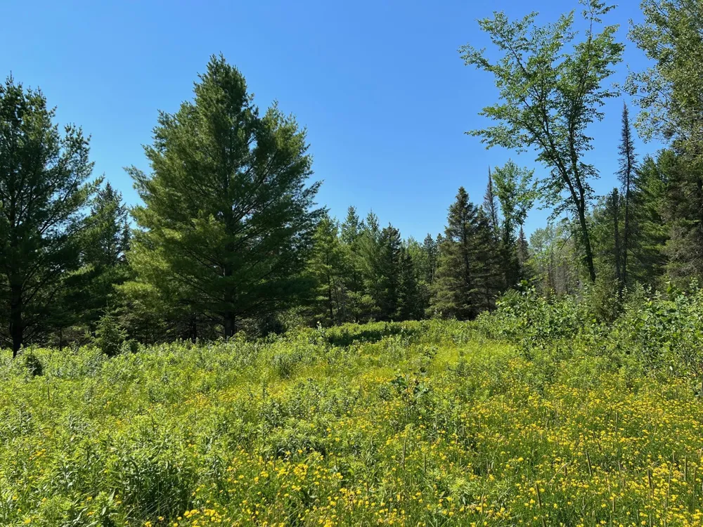 74035 County Highway A Iron River, WI 54847