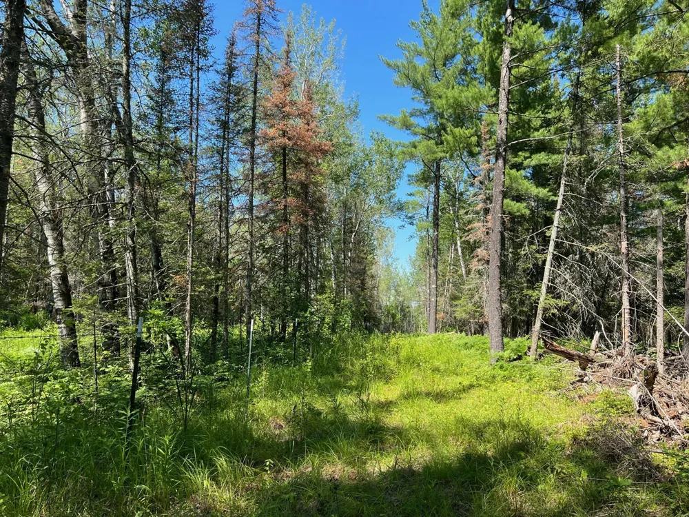 74035 County Highway A Iron River, WI 54847