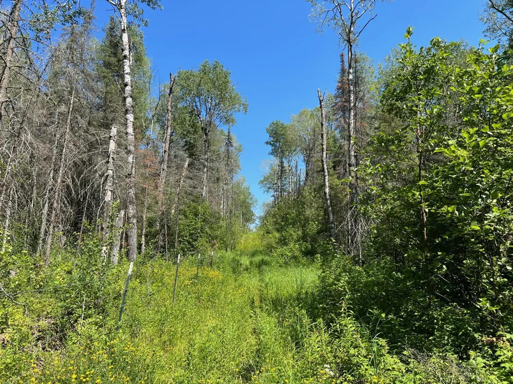 74035 County Highway A Iron River, WI 54847
