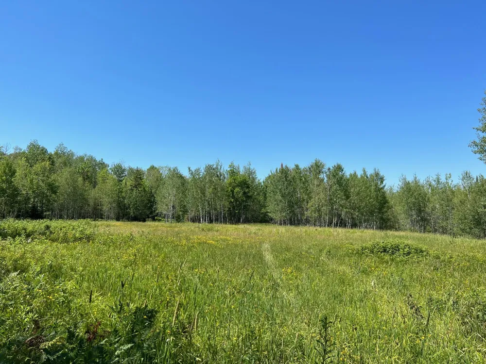 74035 County Highway A Iron River, WI 54847