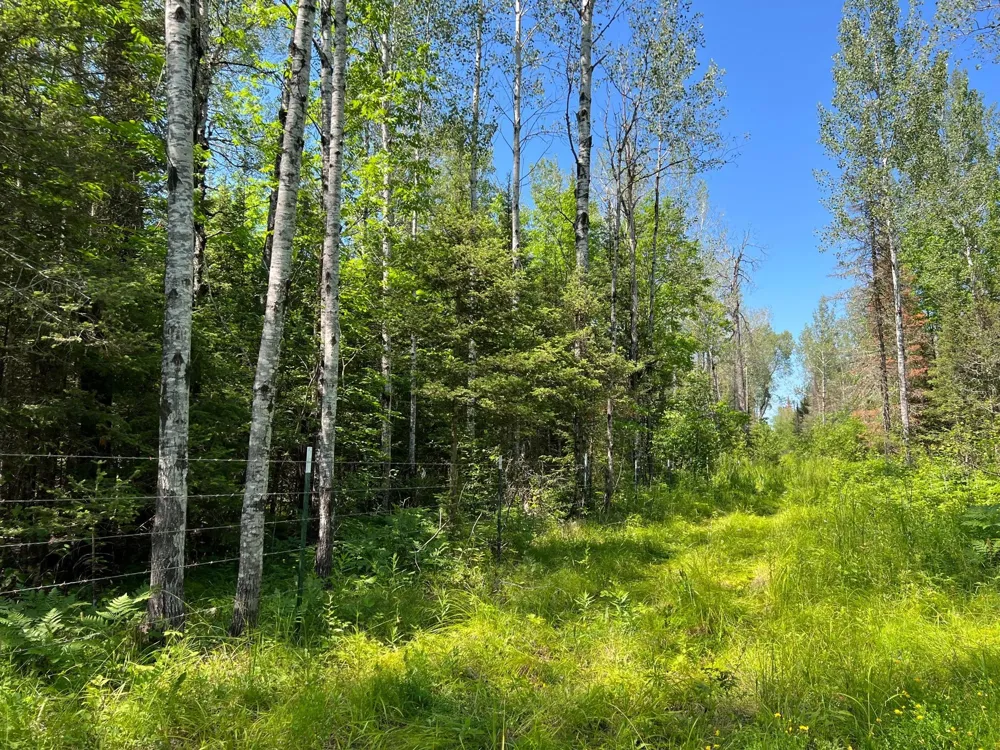 74035 County Highway A Iron River, WI 54847