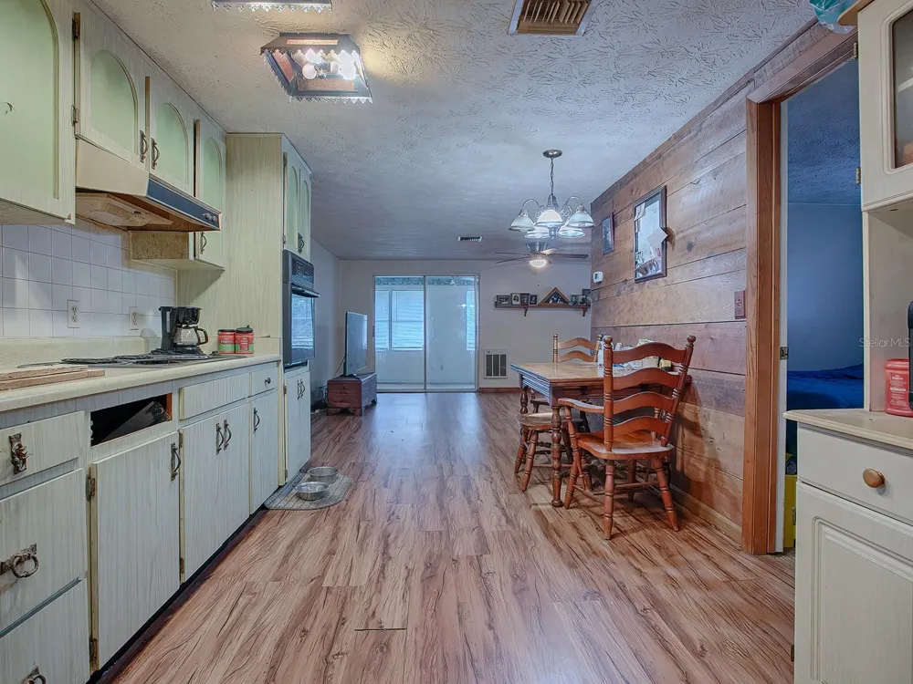 853 CR 484 Lake Panasoffkee, FL 33538