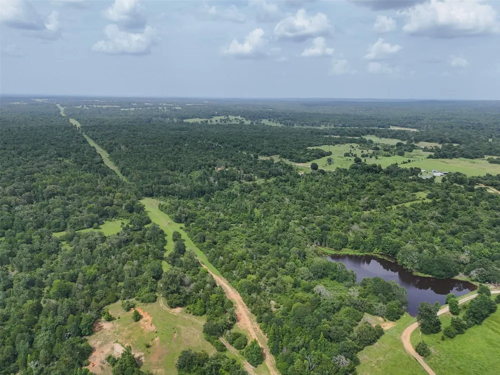 Pr 2026 Tract 4 Buffalo, TX 75831