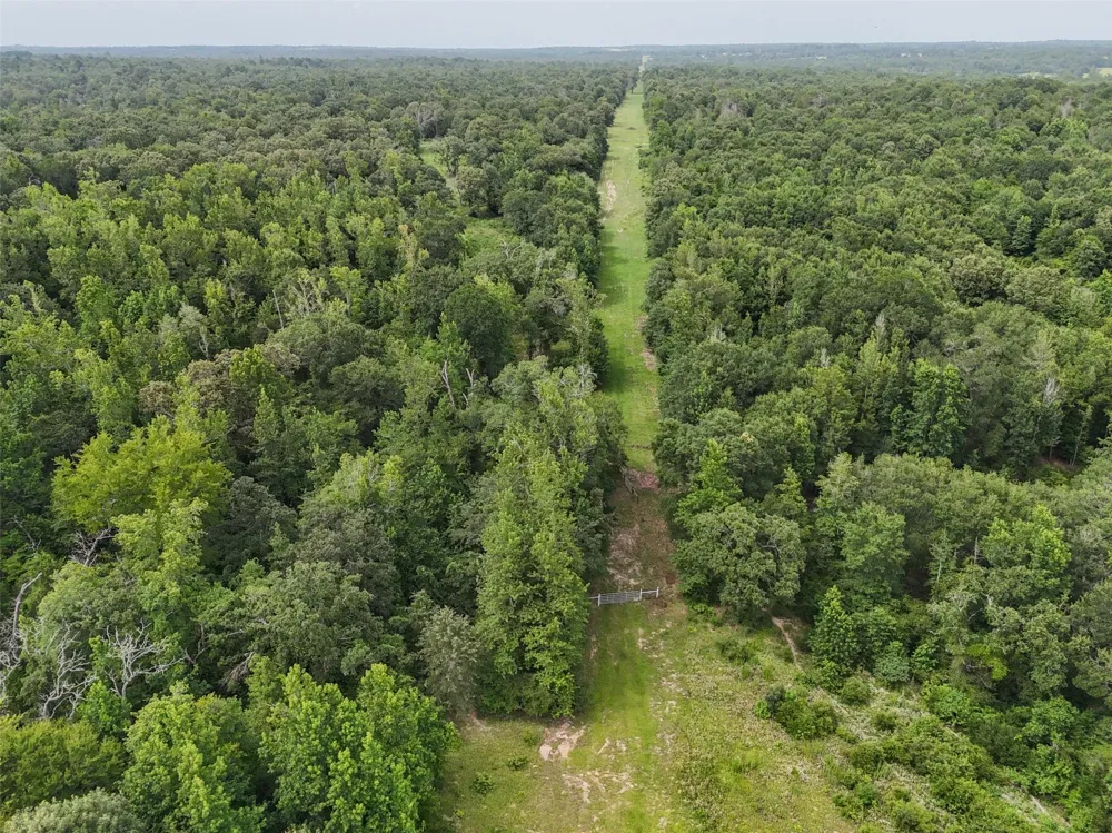 Pr 2026 Tract 4 Buffalo, TX 75831