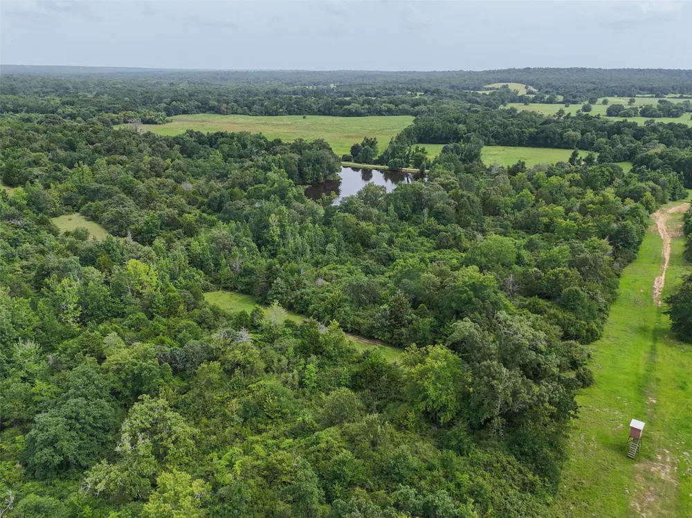 Pr 2026 Tract 4 Buffalo, TX 75831