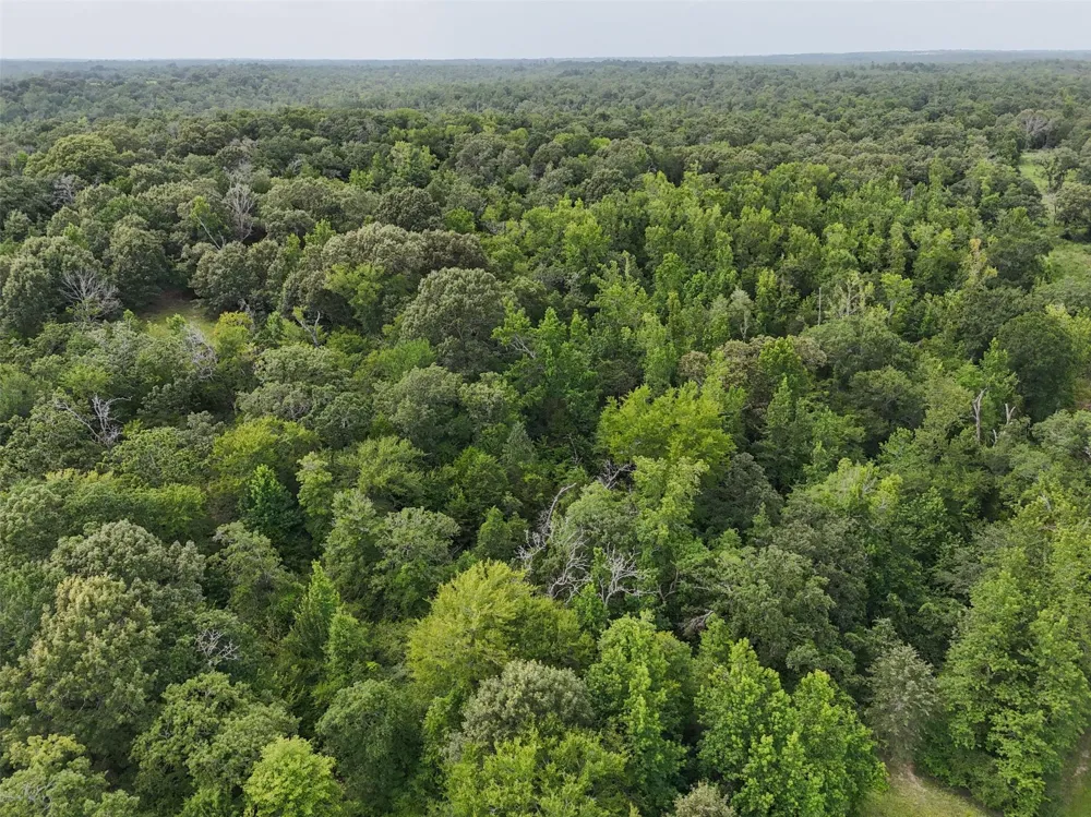 225 Private Road 2026 Centerville, TX 75831
