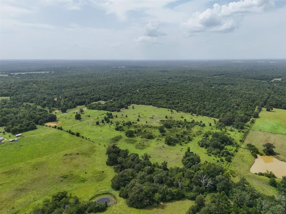 Private Road 2026 Tracts 1-3 Buffalo, TX 75831