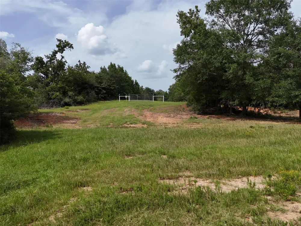 Private Road 2026 Tracts 1-3 Buffalo, TX 75831