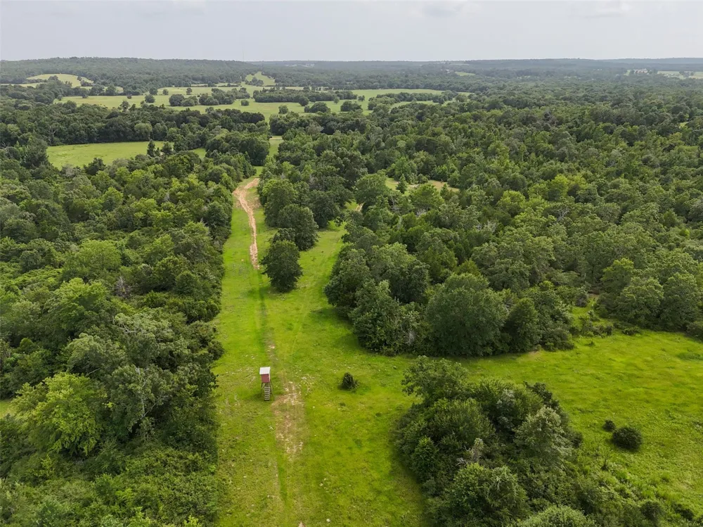Private Road 2026 Tracts 1-3 Buffalo, TX 75831