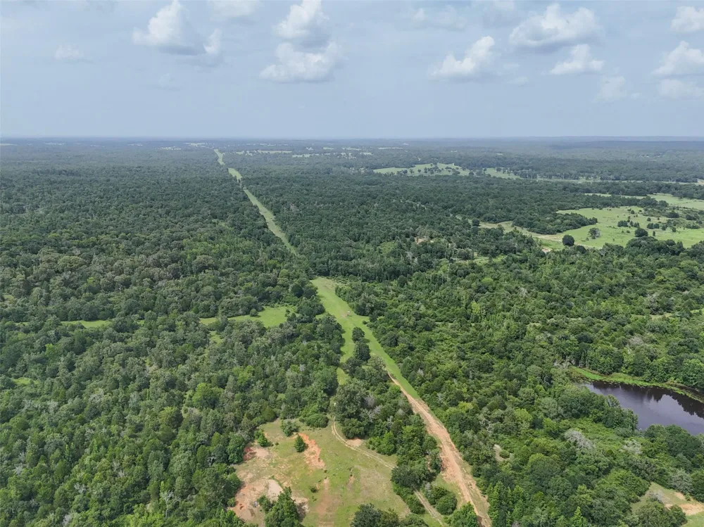 Private Road 2026 Tracts 1-3 Buffalo, TX 75831