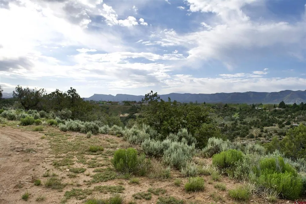 3 Road 24.3 Cortez, CO 81321