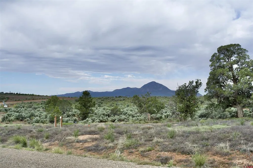 3 Road 24.3 Cortez, CO 81321