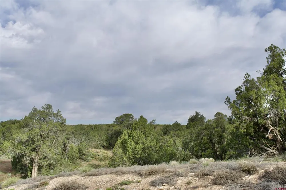 1 Road 24.3 Cortez, CO 81321